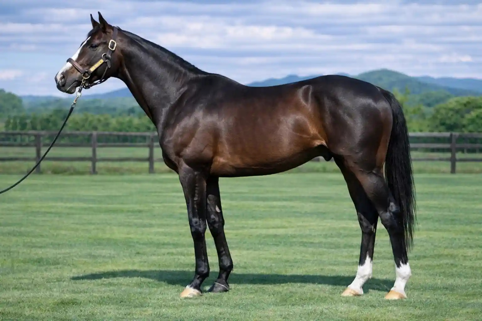 イスラボニータ産駒の特徴と傾向まとめ