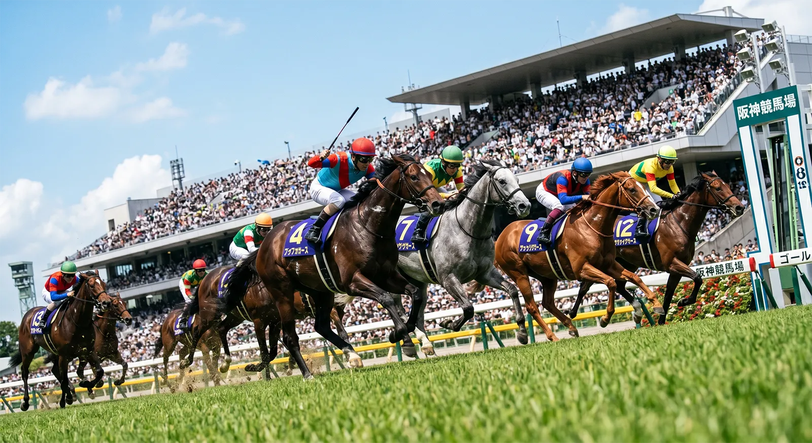 阪神芝2200m コース攻略データ｜宝塚記念の舞台を実データで解剖【2026年最新版】